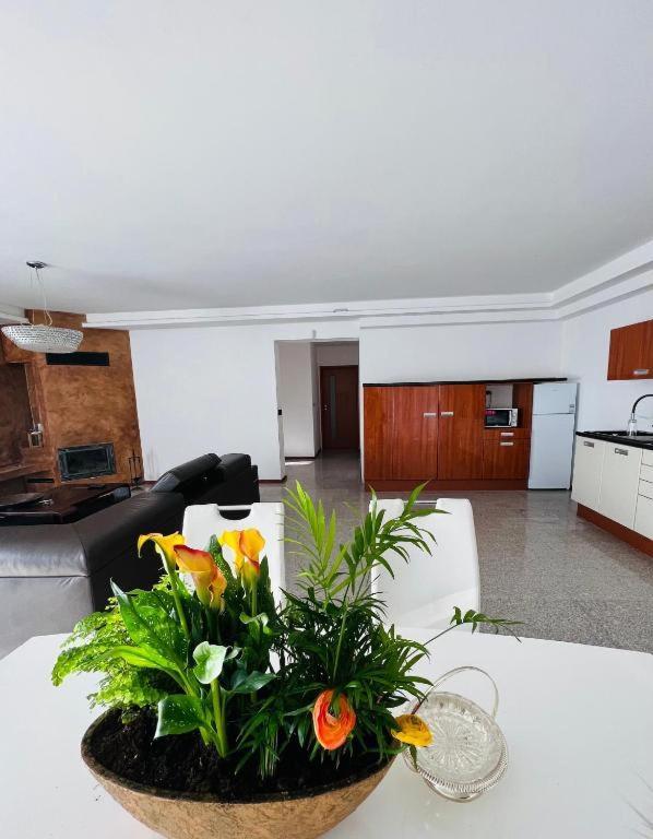 Koliba Apartments 2 브라티슬라바 외부 사진